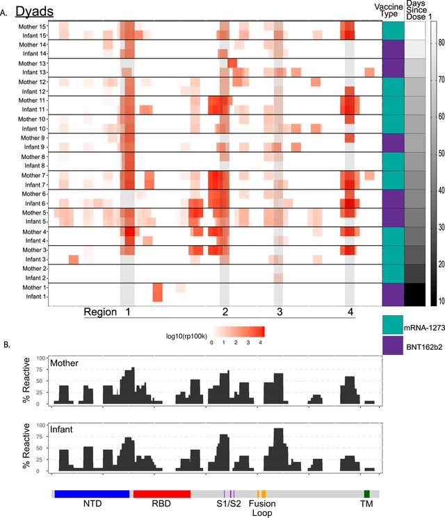PhIP-Seq Vaccine