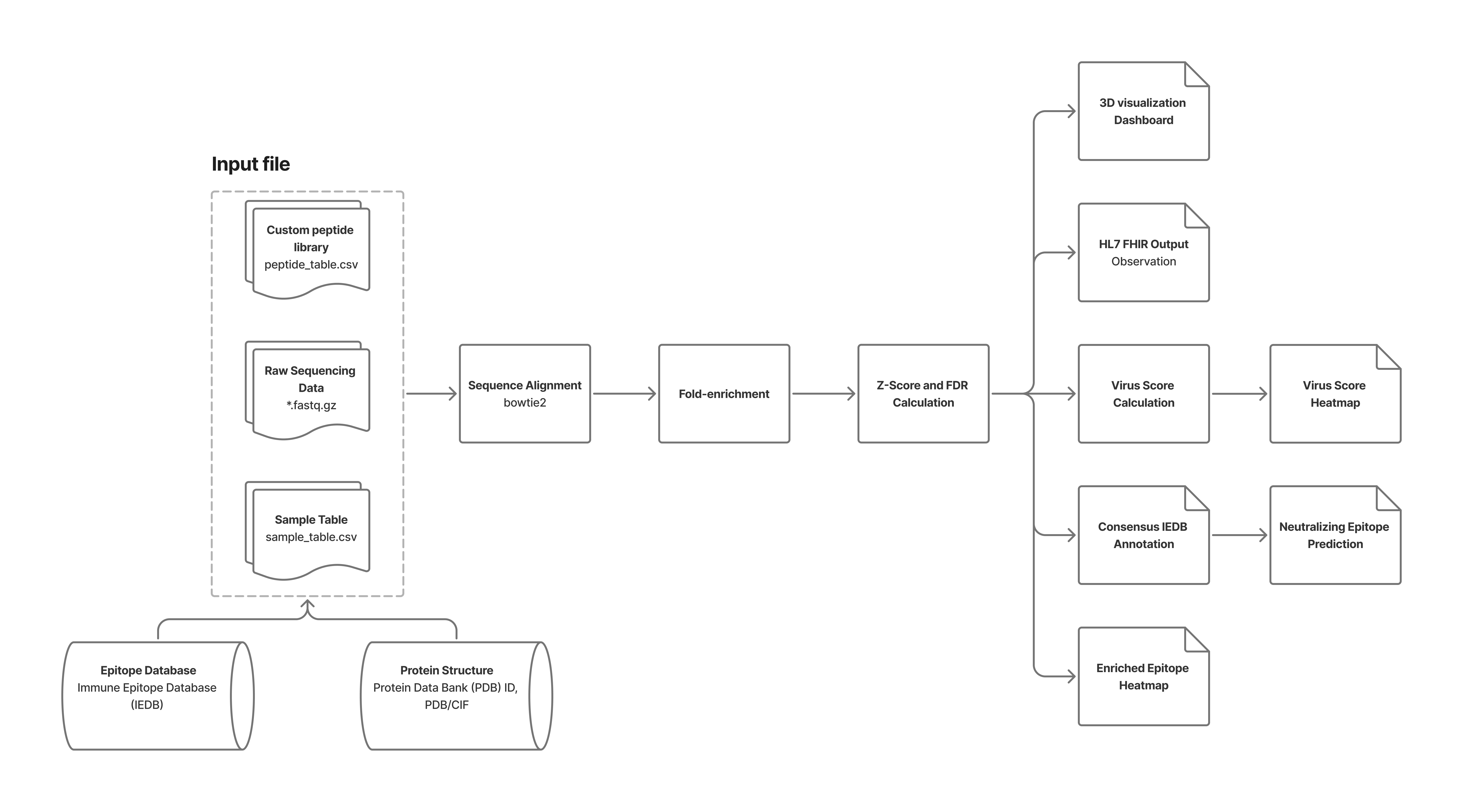 PhIP-seq workflow diagram